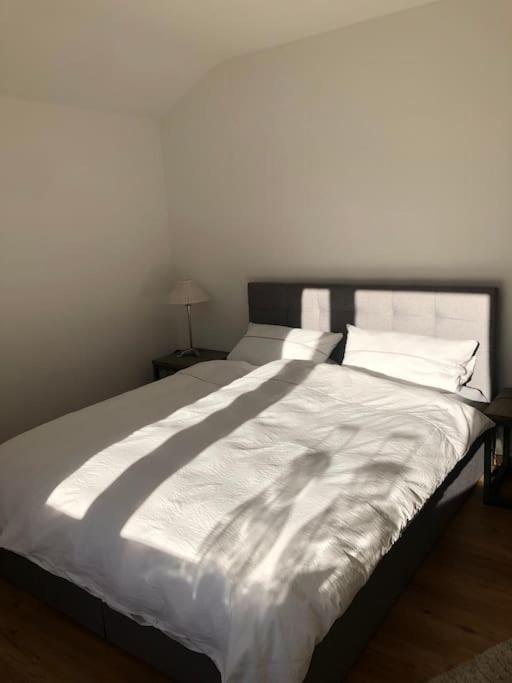 Alpsoul Eine Ferienwohnung Mit Charisma…. ガルミッシュ・パルテンキルヒェン エクステリア 写真
